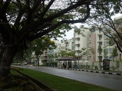 The Calrose (D26), Condominium #508345071